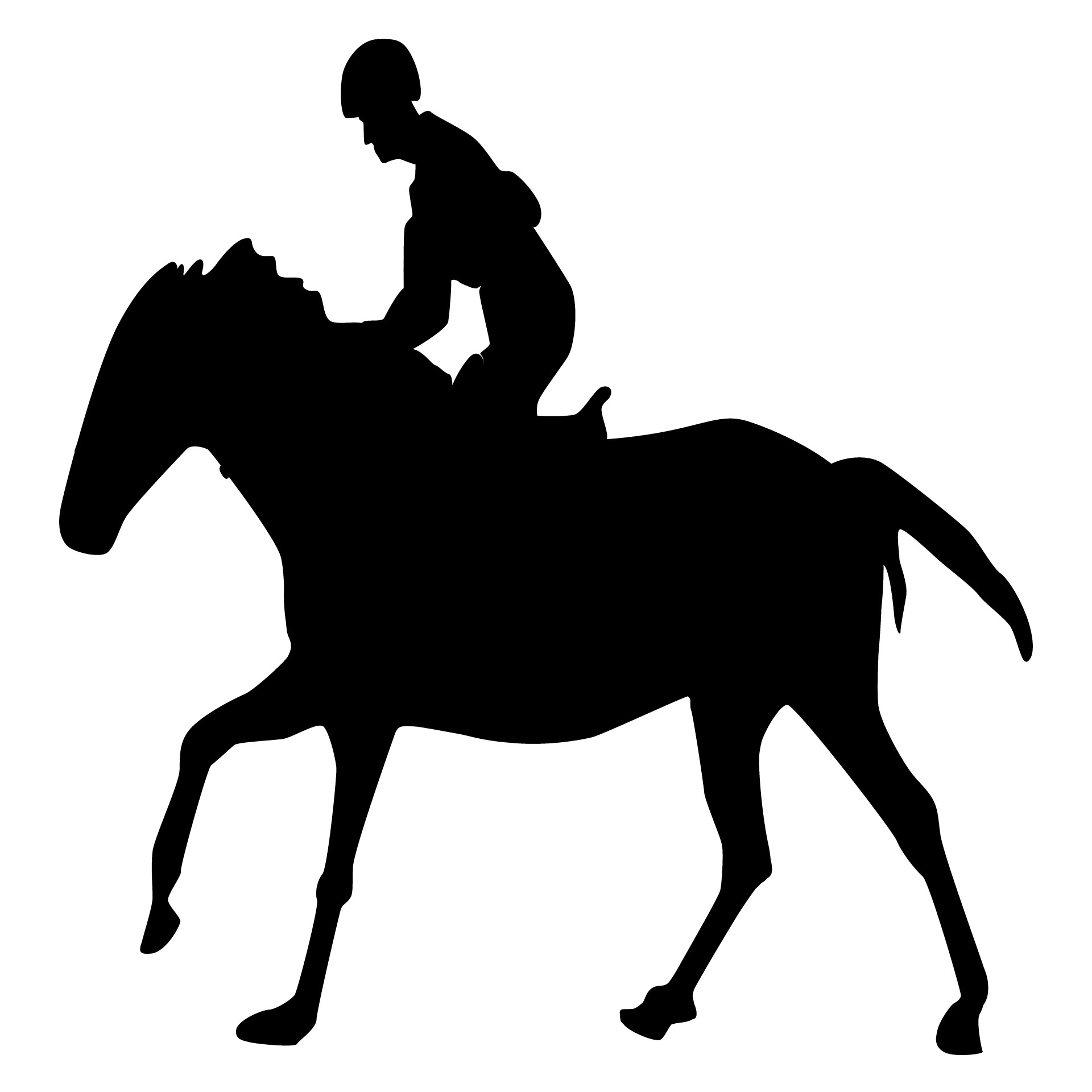jockey equestrian horse free photo