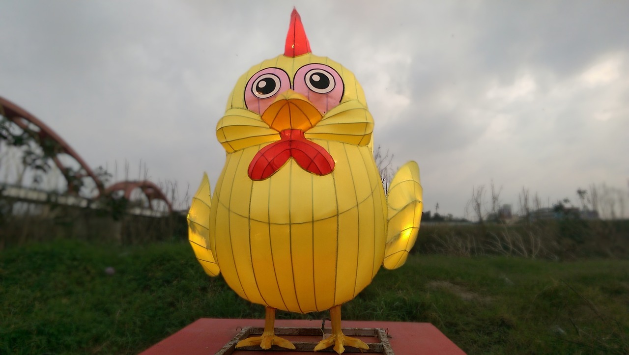 the lantern festival chicken flower 燈 free photo