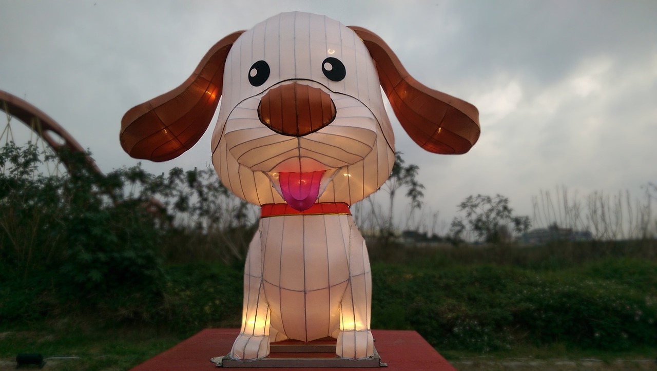 the lantern festival dog flower 燈 free photo