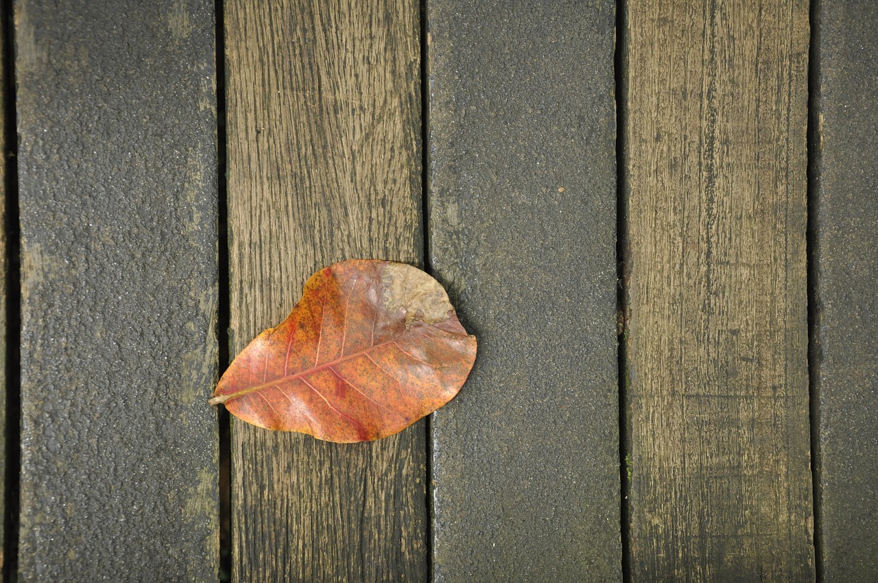 the leaves wood background autumn free photo