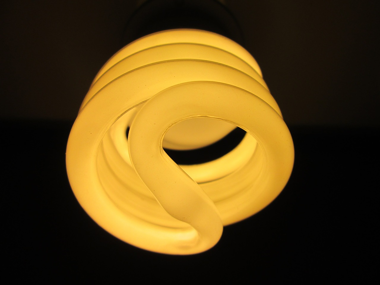 the light bulb fluorescent light free photo