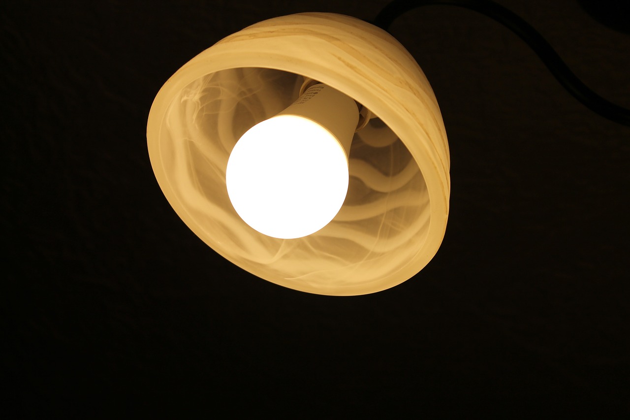 the light bulb lampshade fluorescent free photo