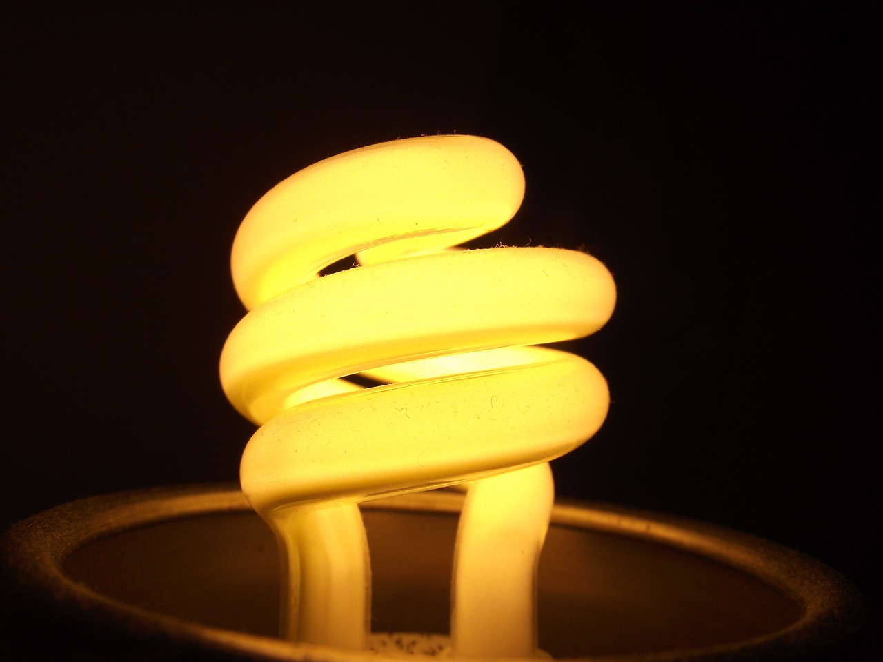 the light bulb macro yellow free photo