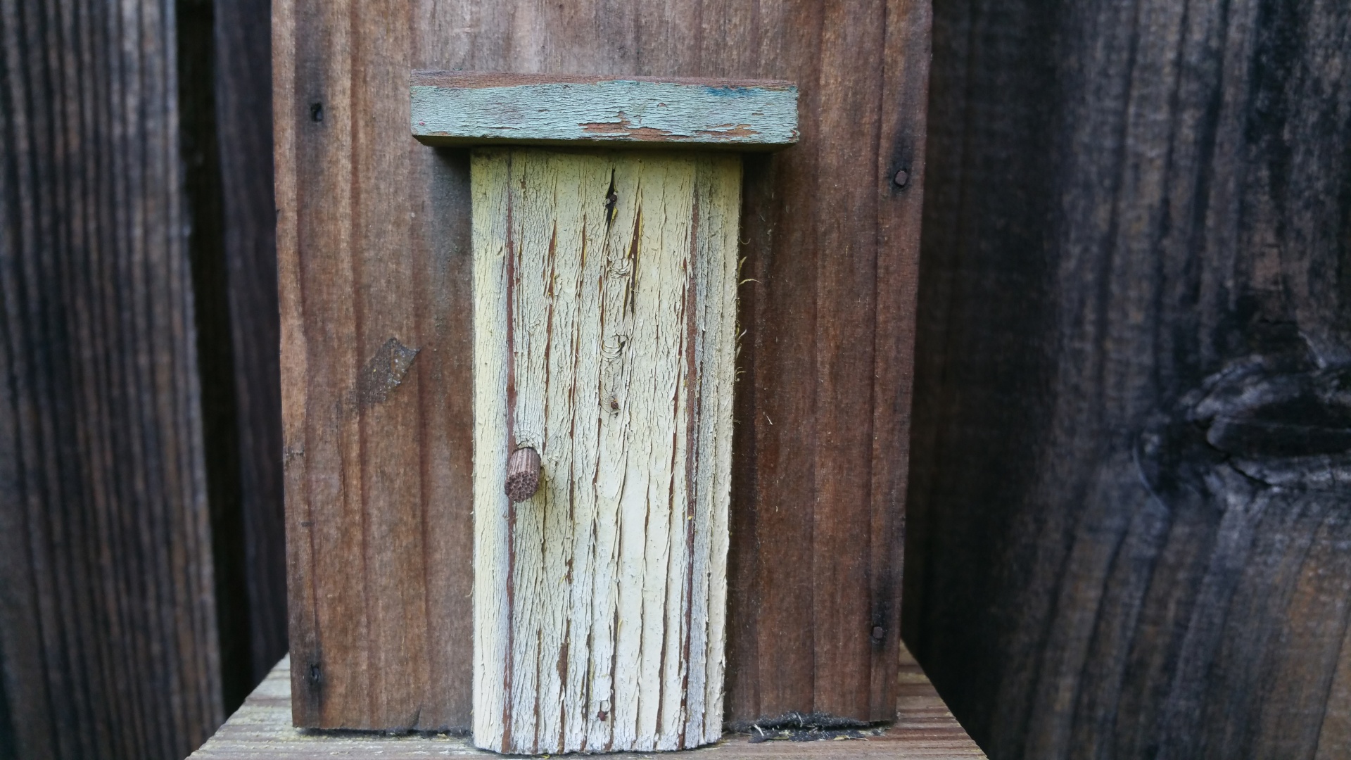 door birdhouse wood free photo