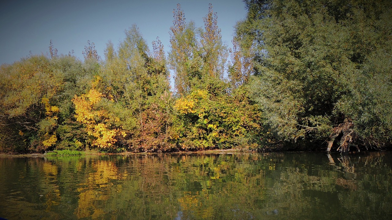 the little danube river slovakia free photo