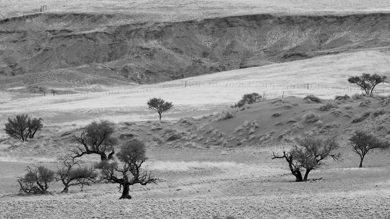 The living desert,namib,desert,sand,free pictures - free image from ...