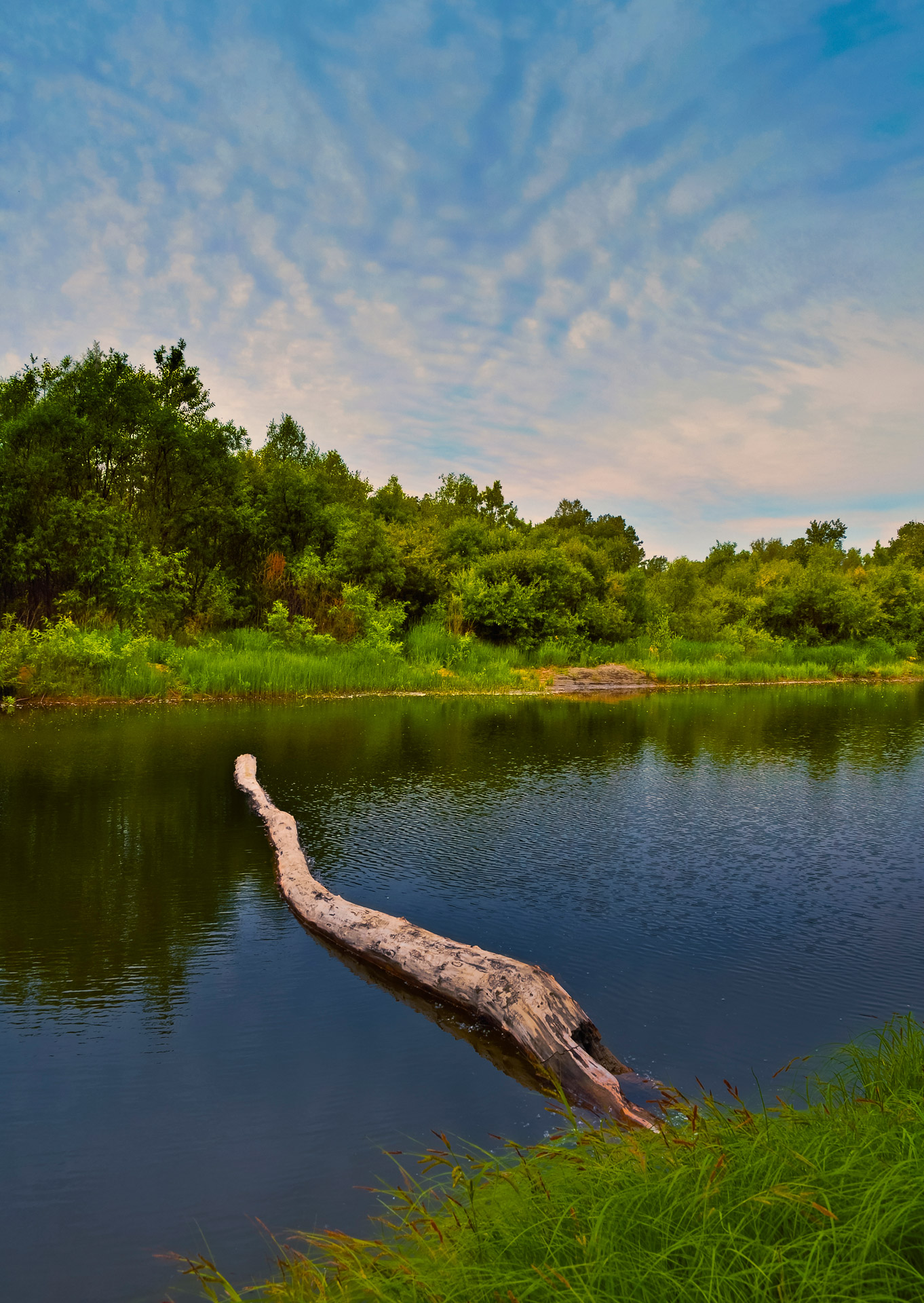 river water nature free photo