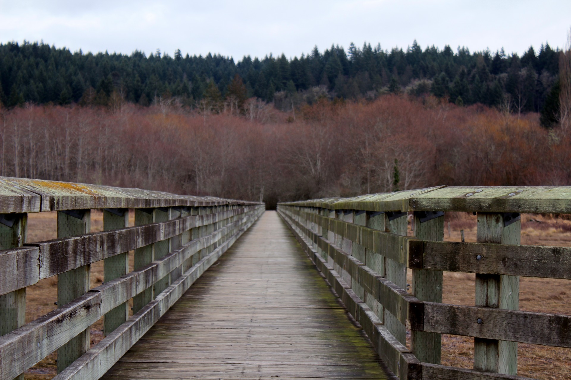 bridge old wood free photo