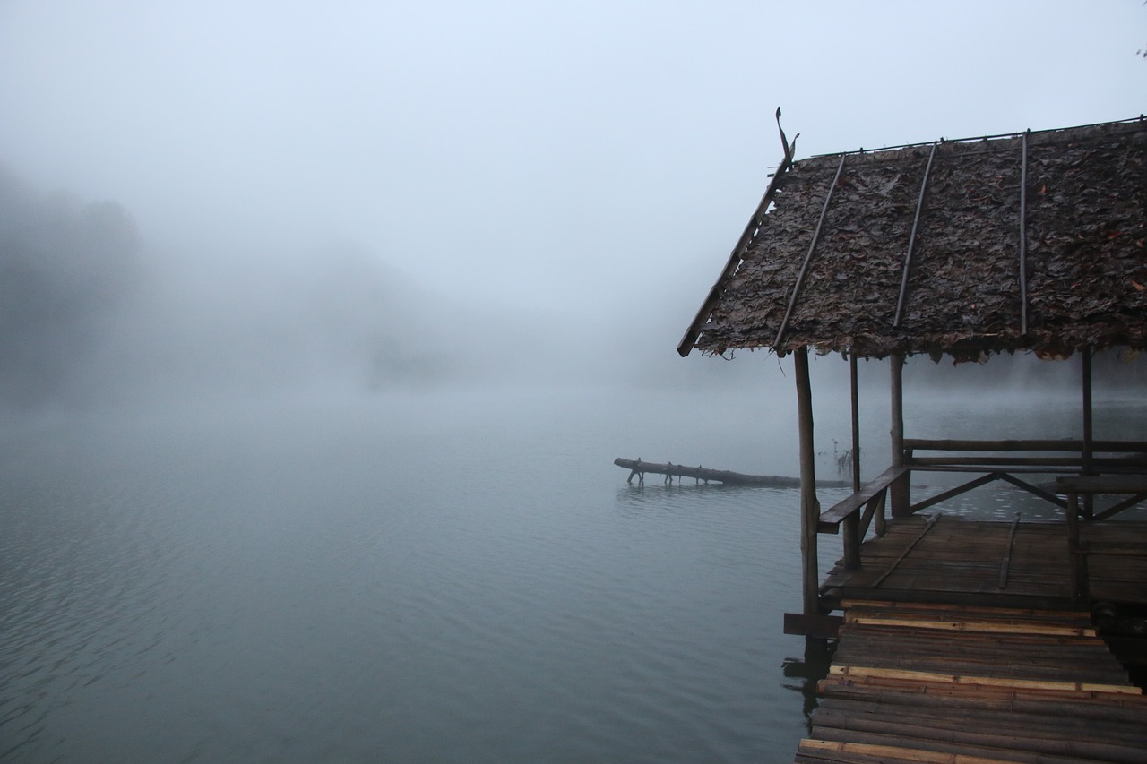 the mist its freezing peace of mind free photo