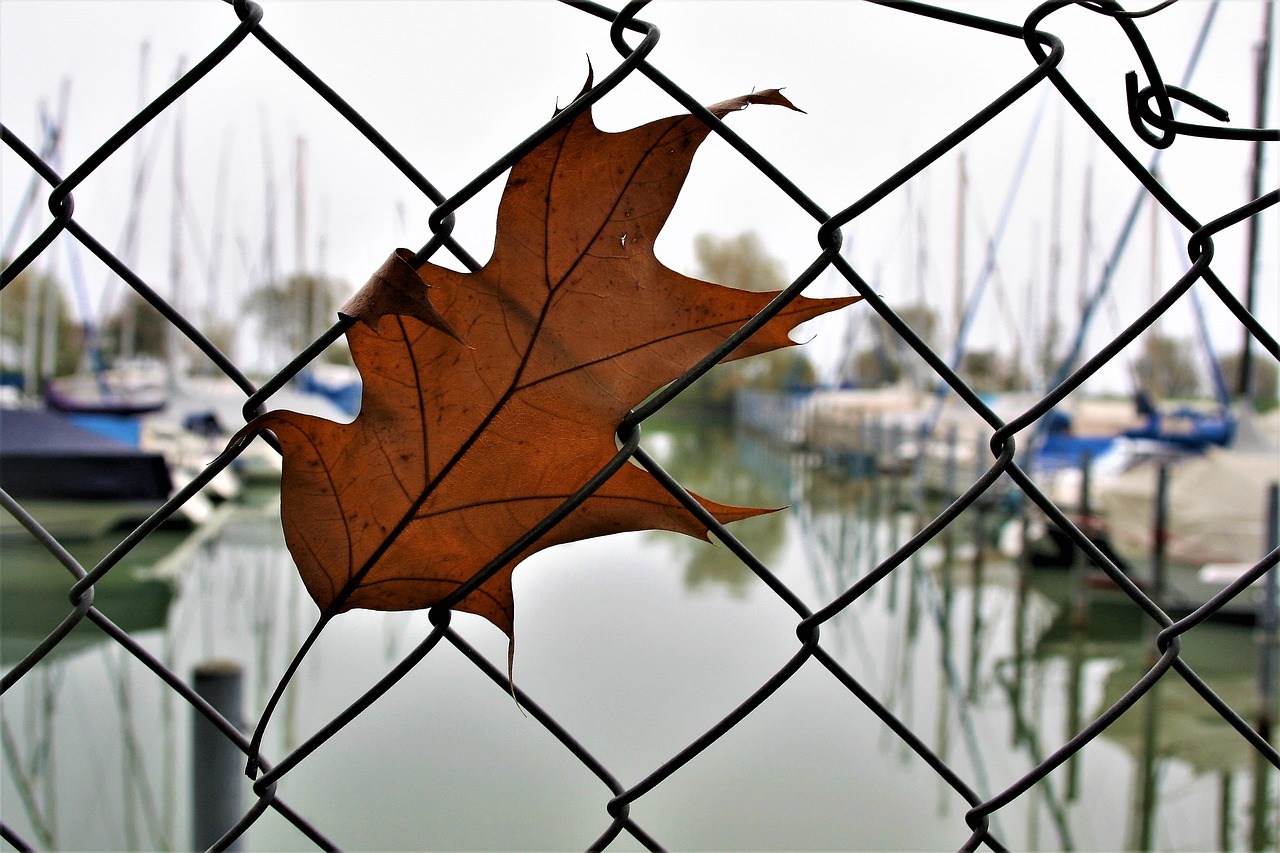 the moat wire fencing free photo
