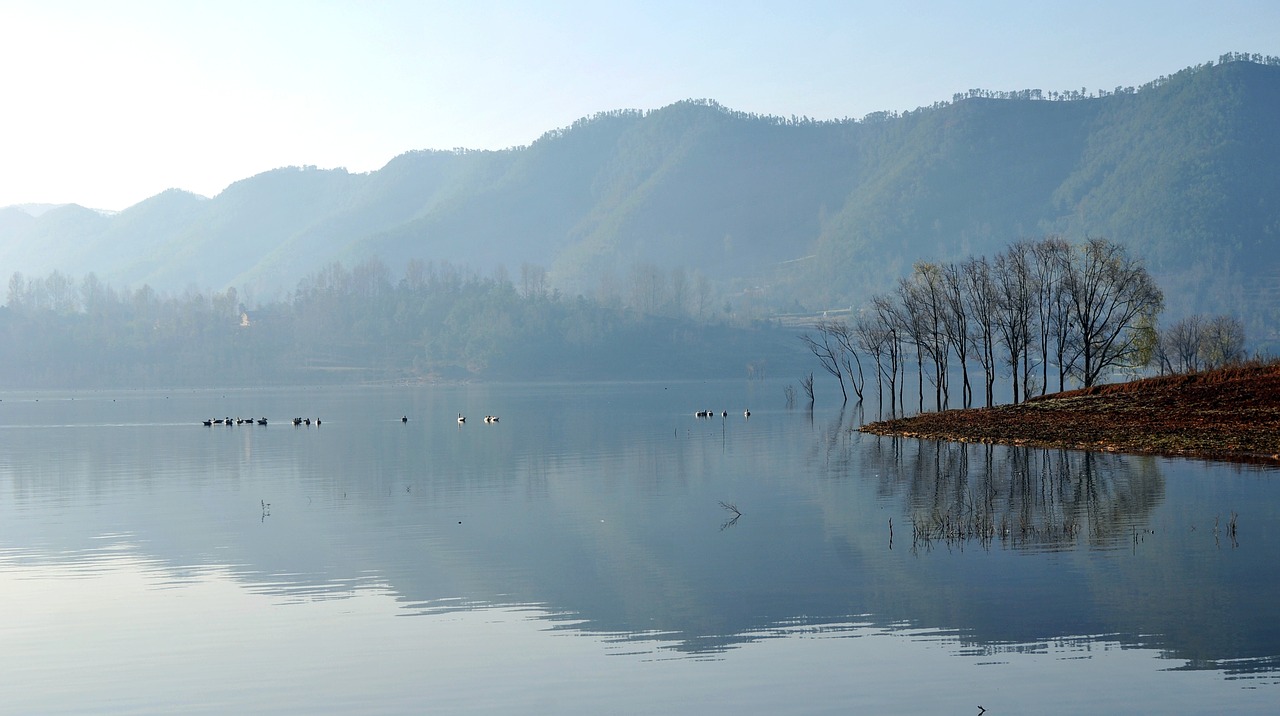 the morning mist the water reflection free photo