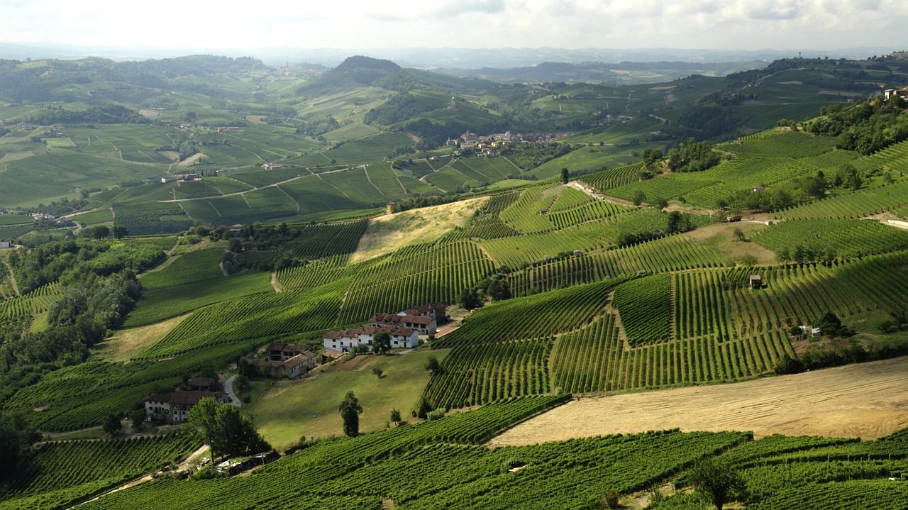 the morra  langhe  italy free photo