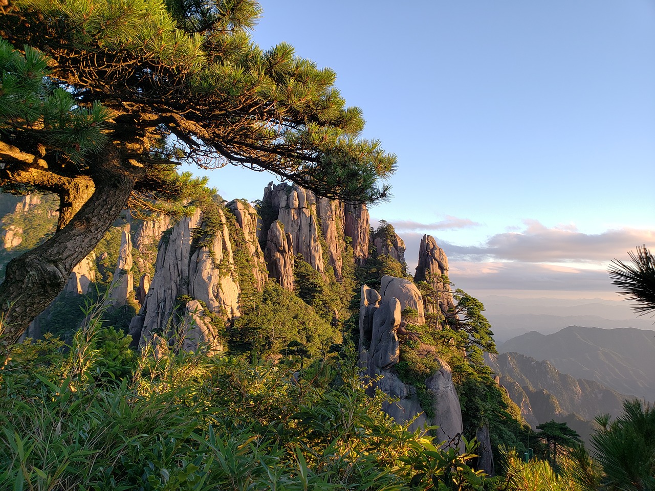 the mountains  mountain view  pine tree free photo