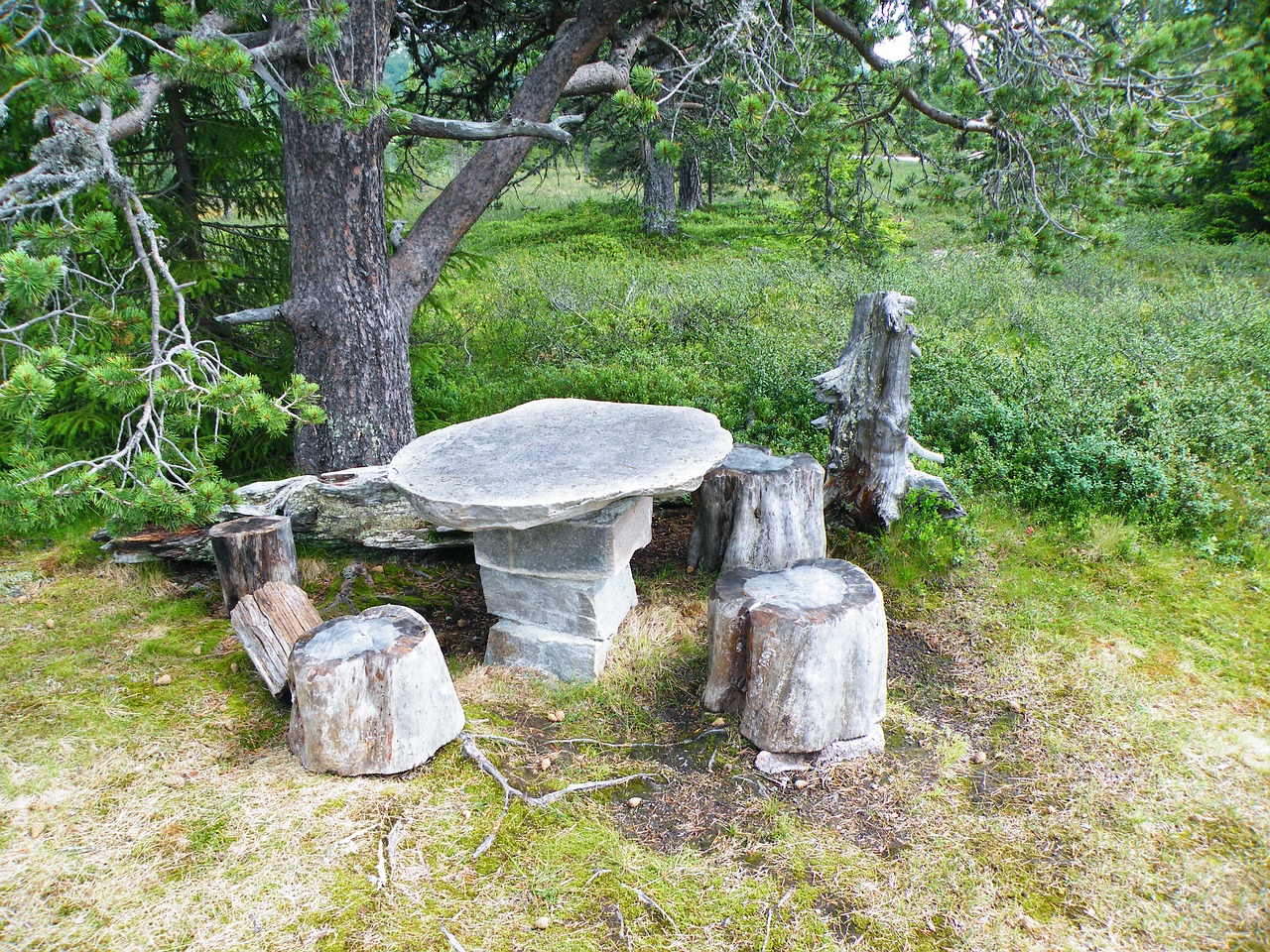 the nature of the stone table stubs free photo