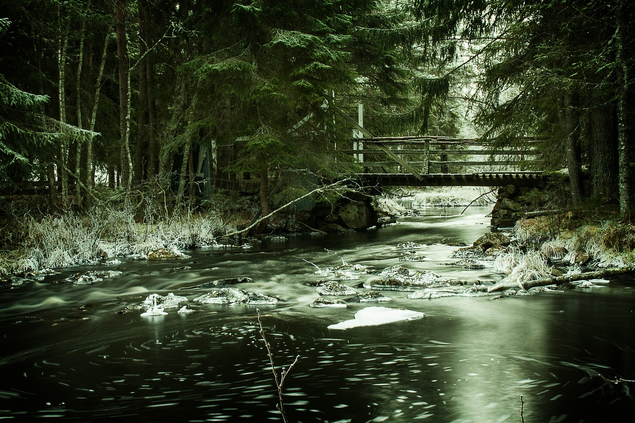 the nature of the water river free photo