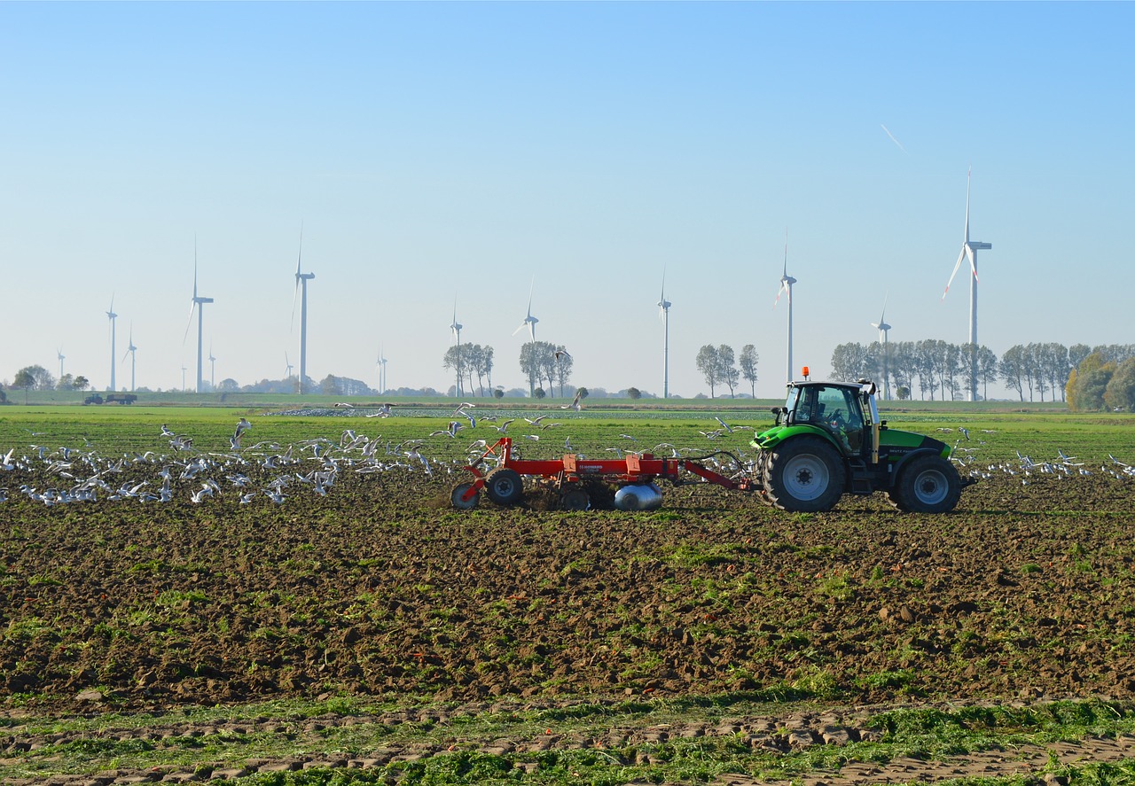 the north german agriculture  tractors  gulls free photo