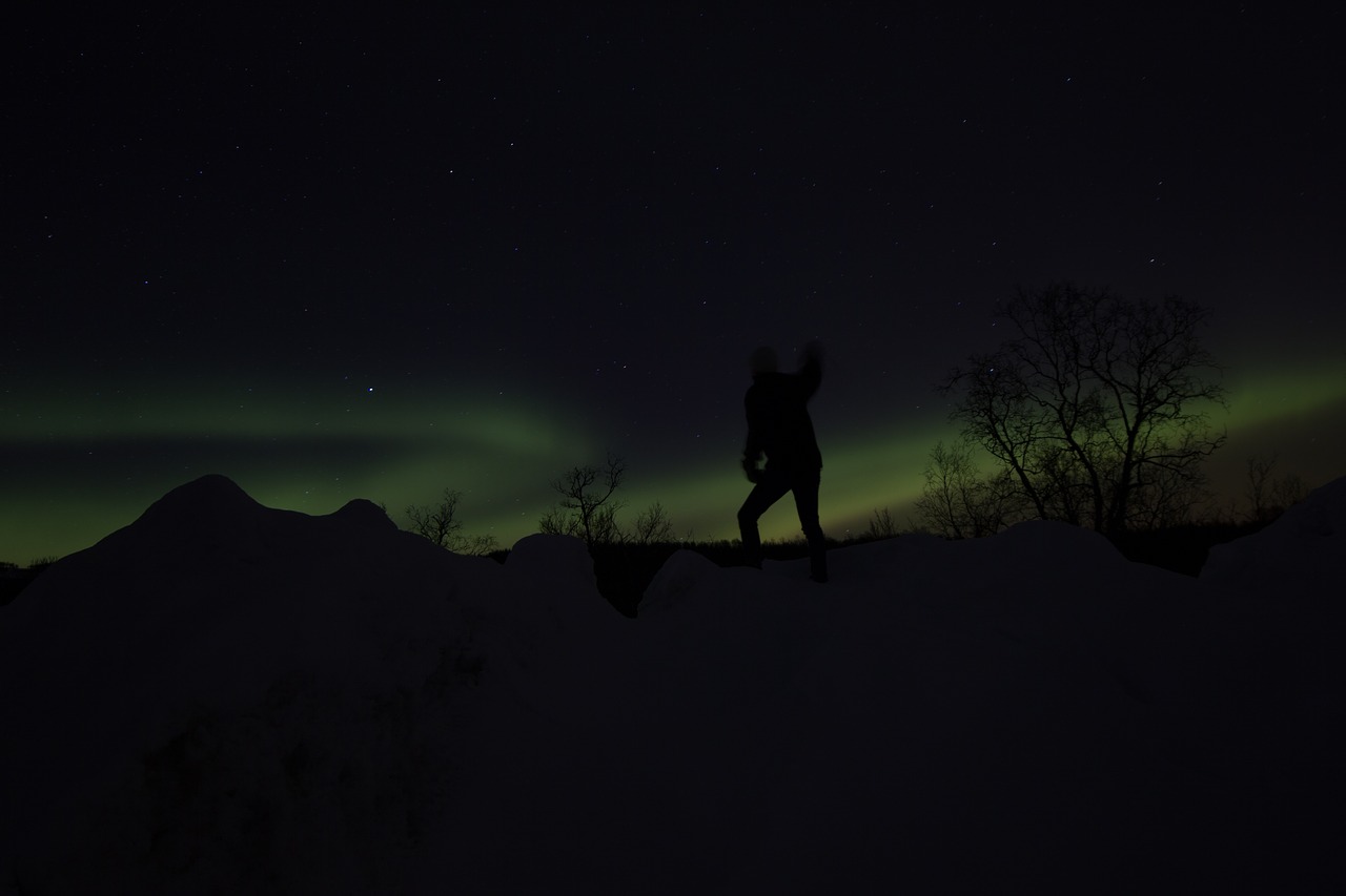 the northern lights night aurora free photo