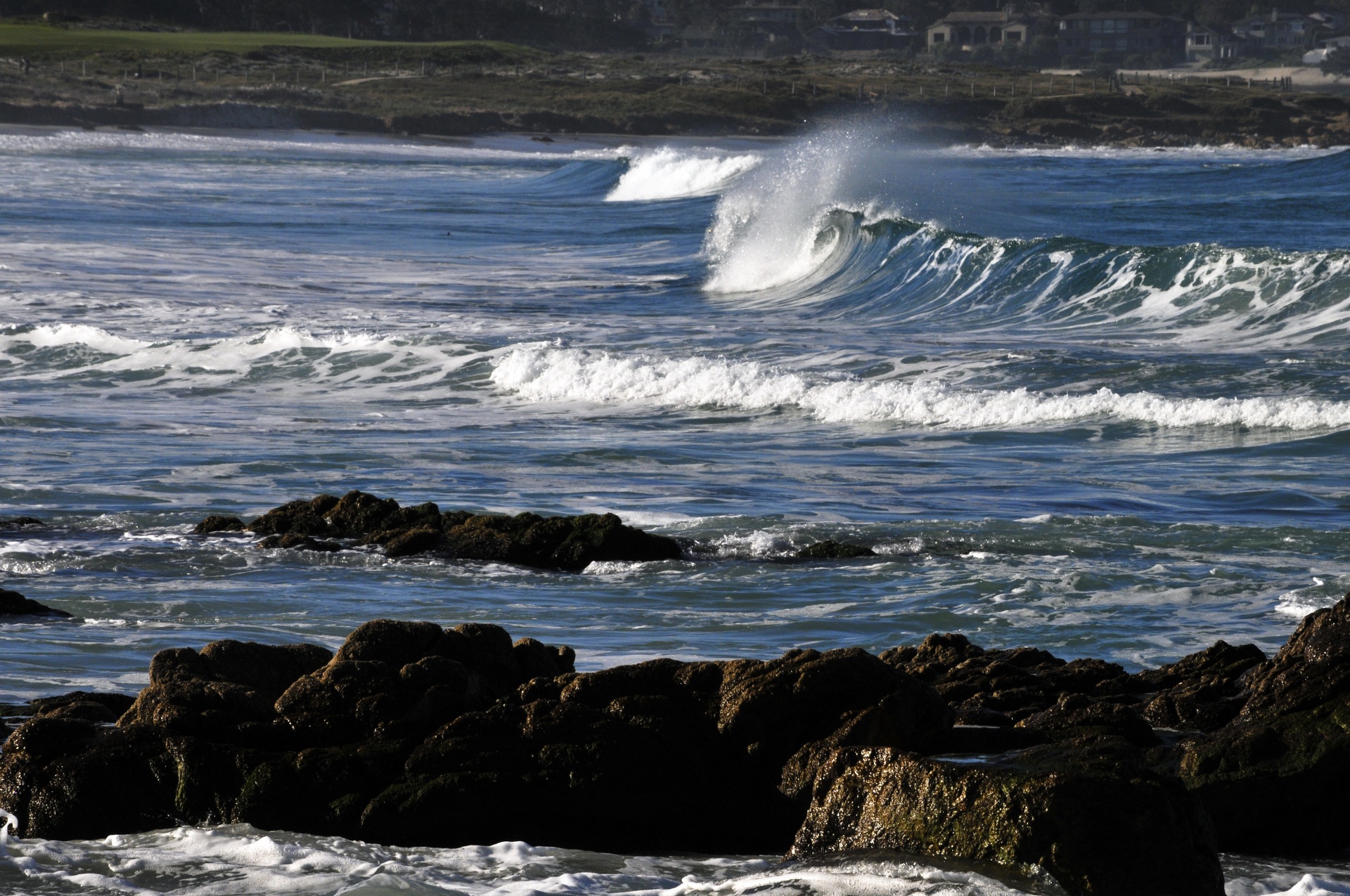 wave waves ocean free photo