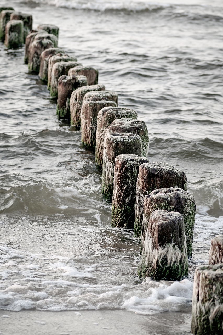 the old breakwater  sea  beach free photo