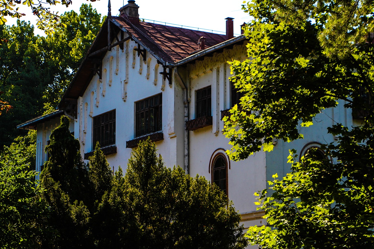 the old house forest architecture free photo