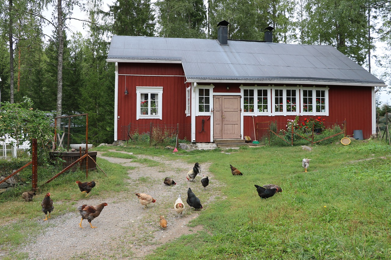 the old house  countryside  house free photo