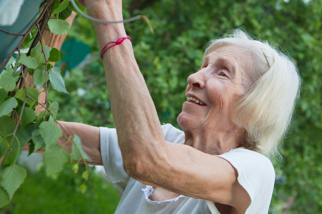 the old lady  grandma  garden free photo