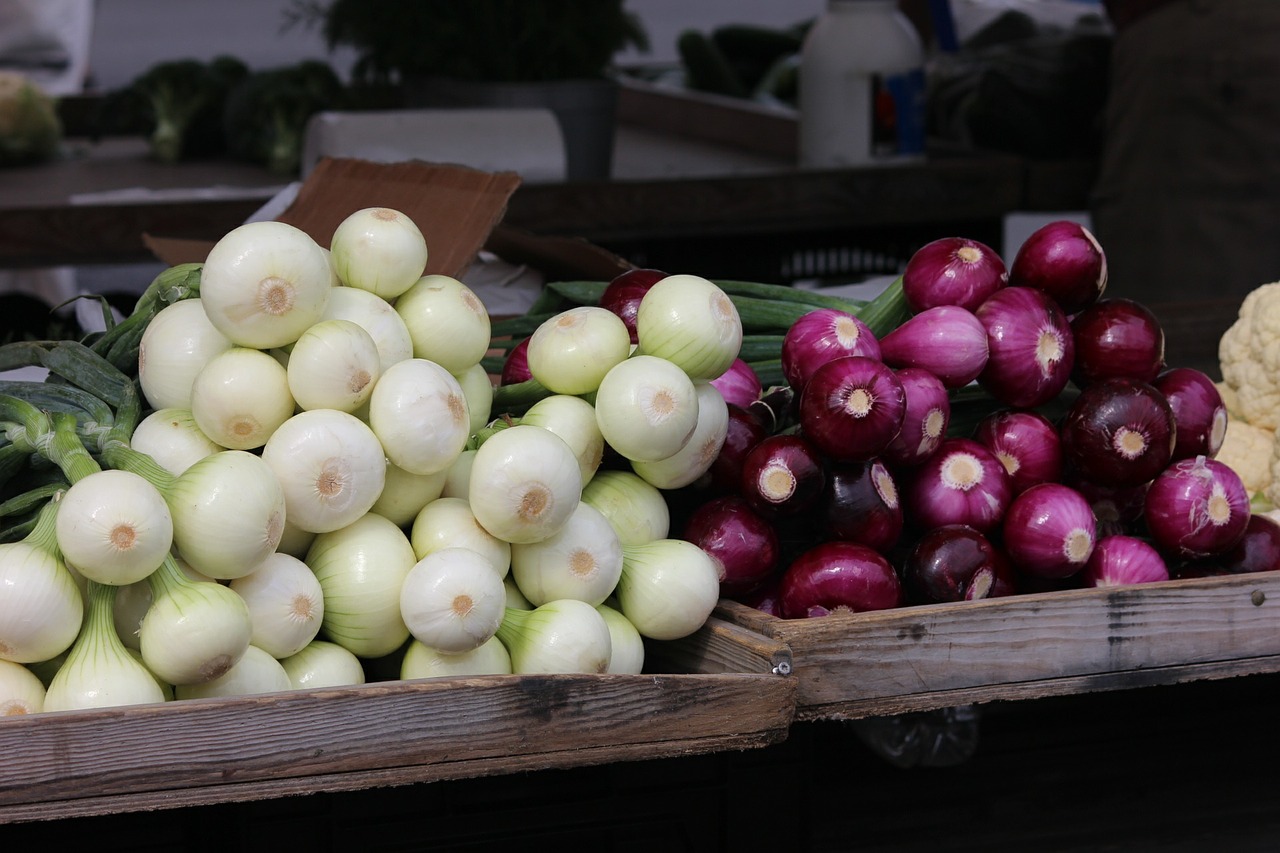 the onion red onion vegetarian free photo