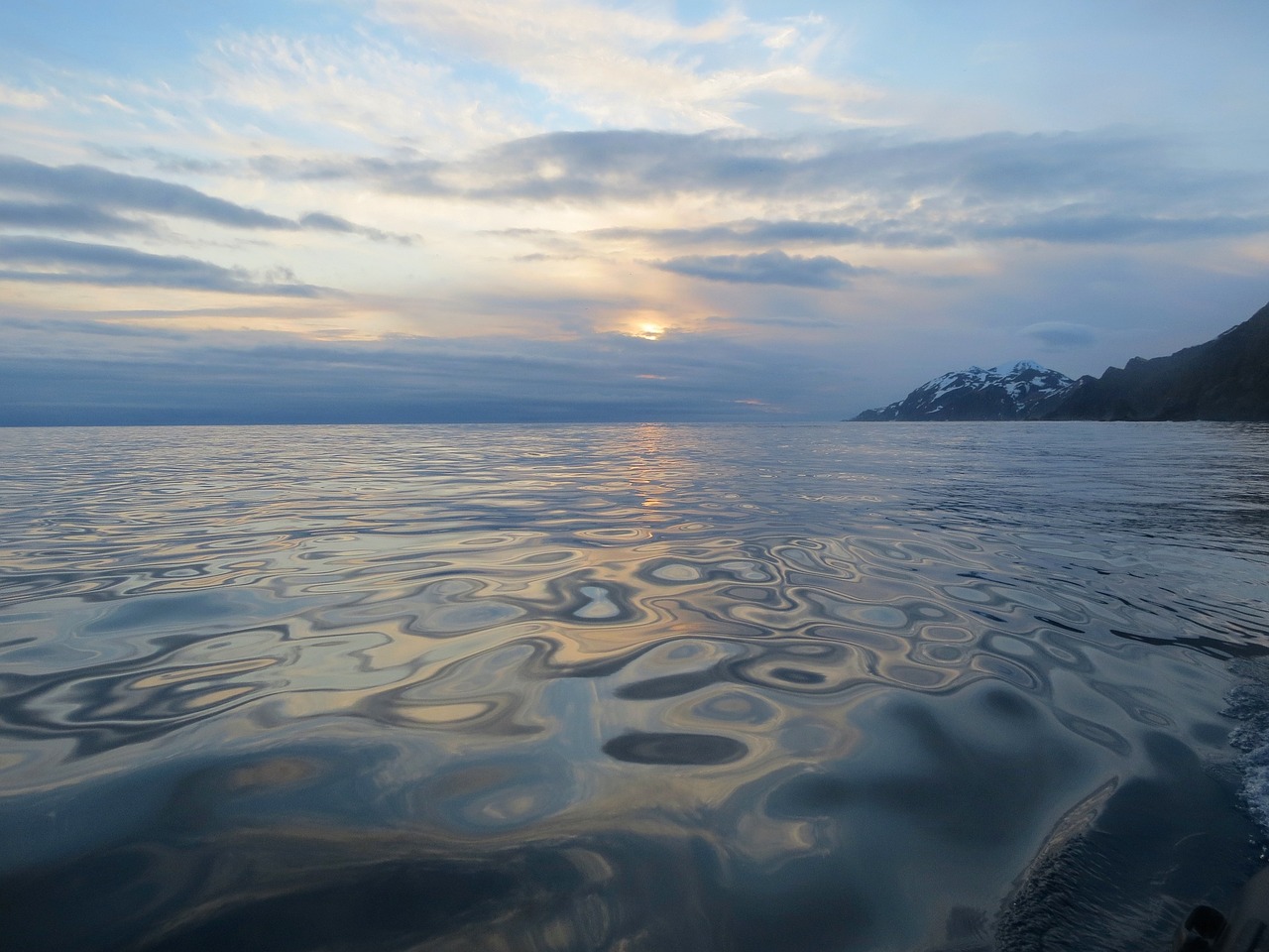 the pacific ocean evening sunset free photo