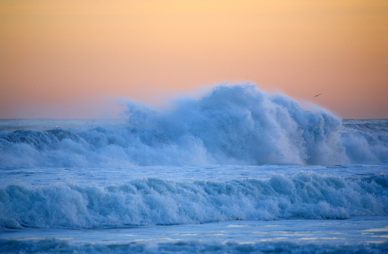 the pacific ocean wave surf free photo
