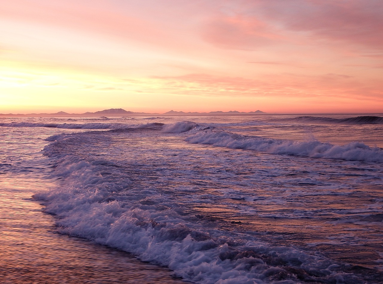 the pacific ocean wave surf free photo