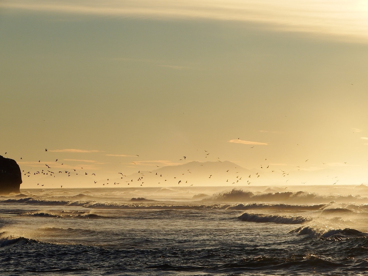 the pacific ocean wave surf free photo