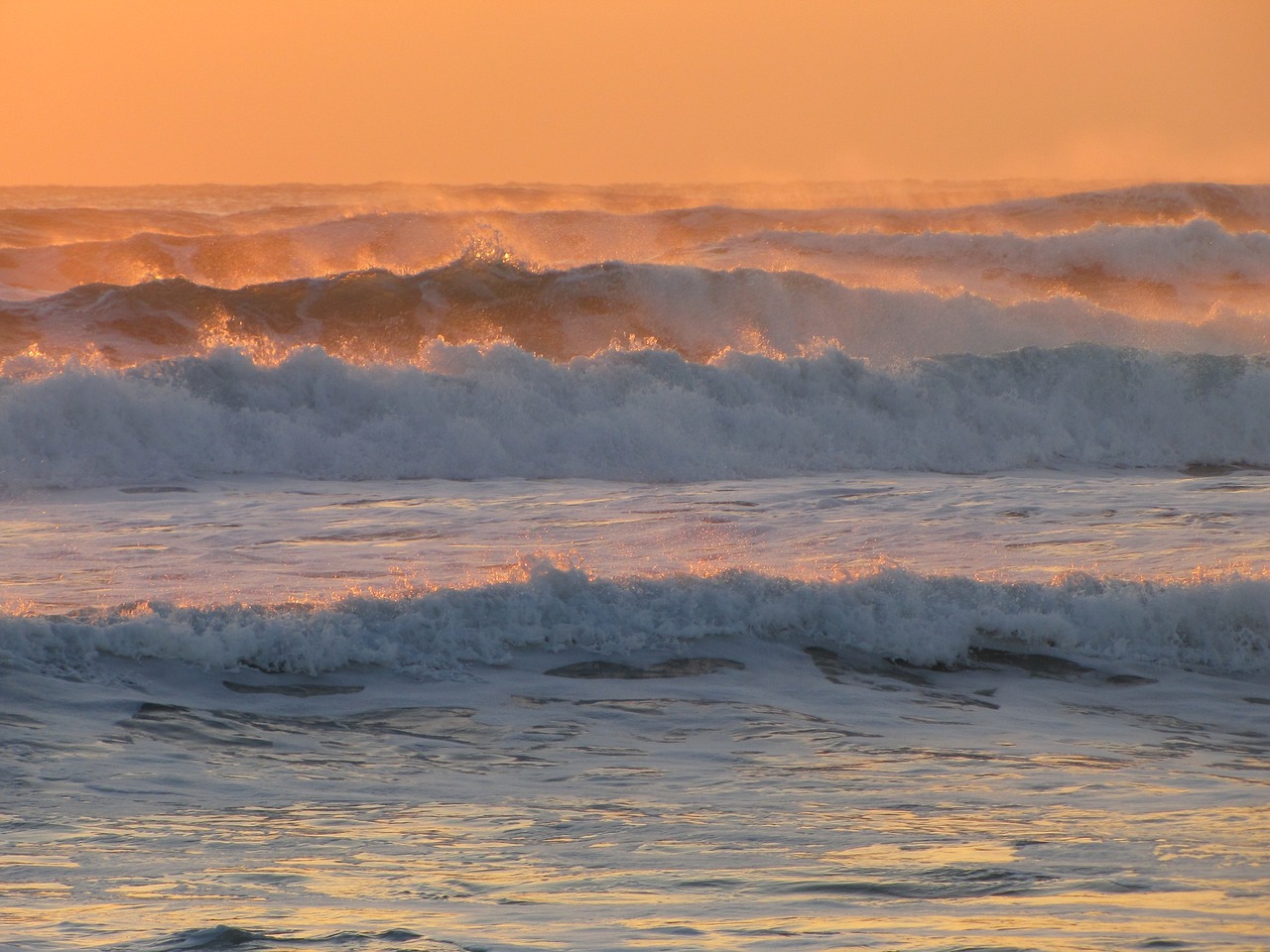 the pacific ocean wave surf free photo