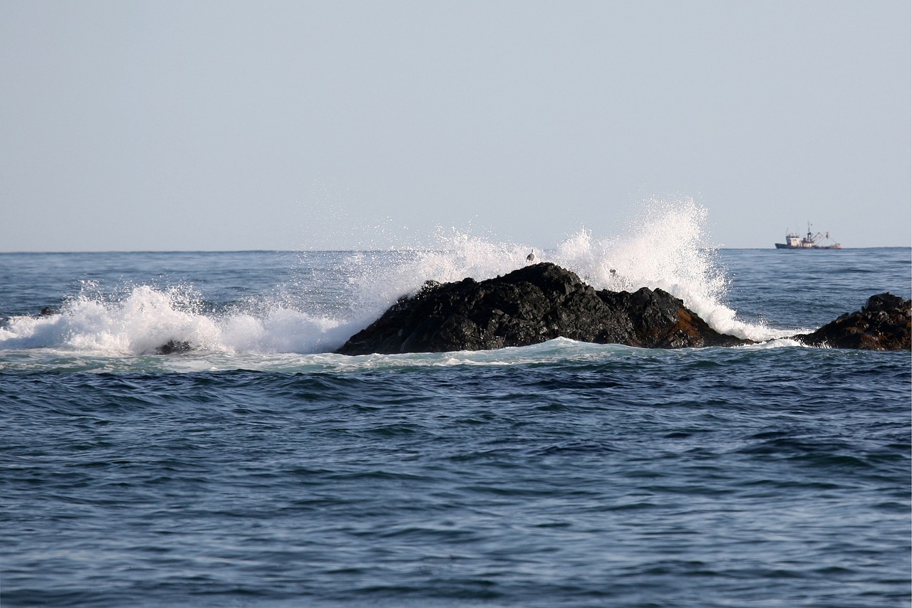 the pacific ocean sea rocks free photo