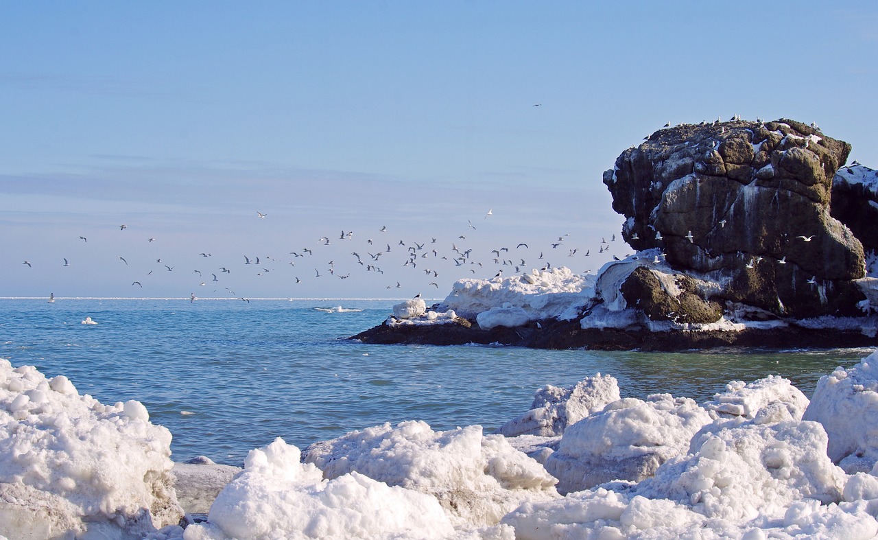 the pacific ocean sea rocks free photo