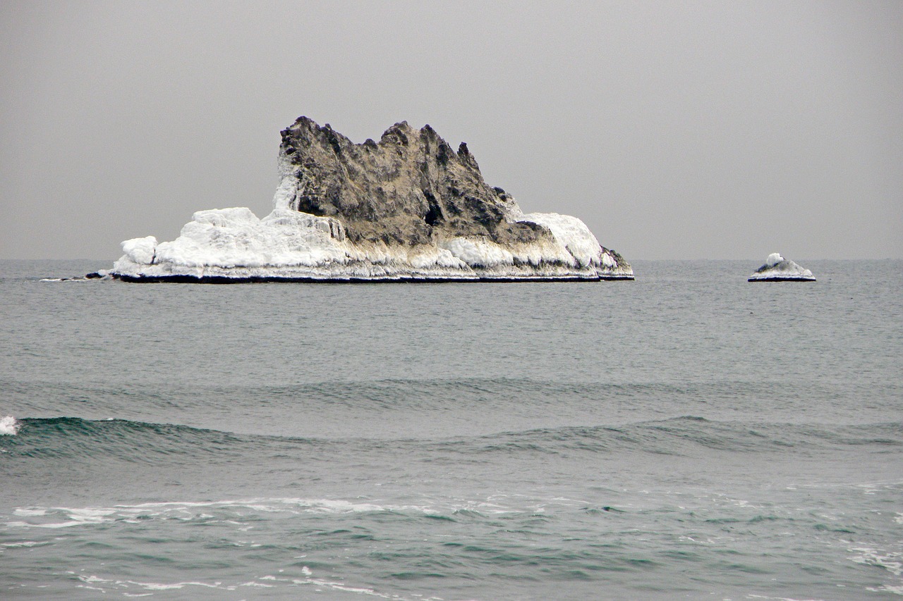 the pacific ocean sea rocks free photo