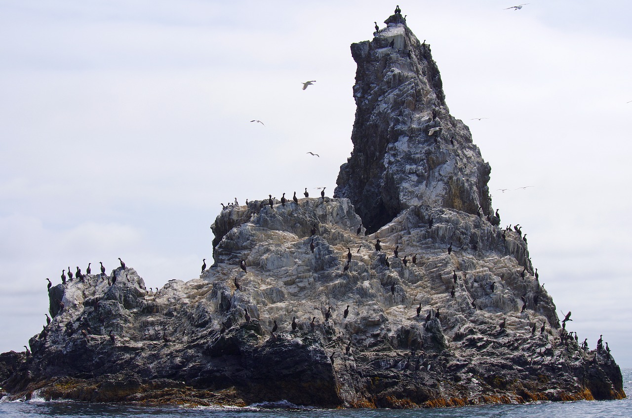 the pacific ocean sea rocks free photo