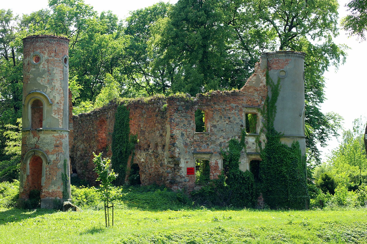 the palace  castle  the ruins of the free photo