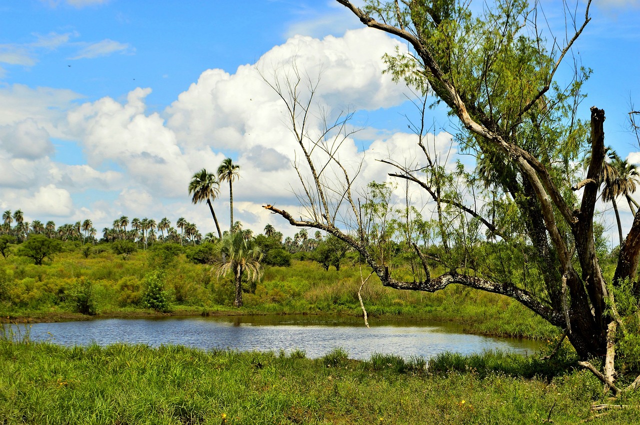 the palmar entre ríos national park free photo