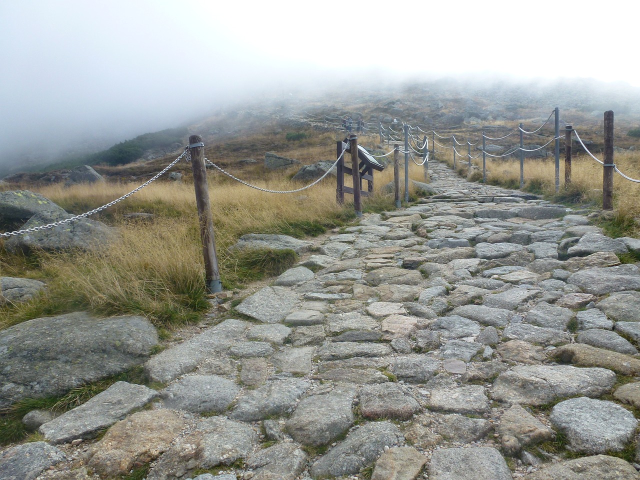 the path white stone free photo