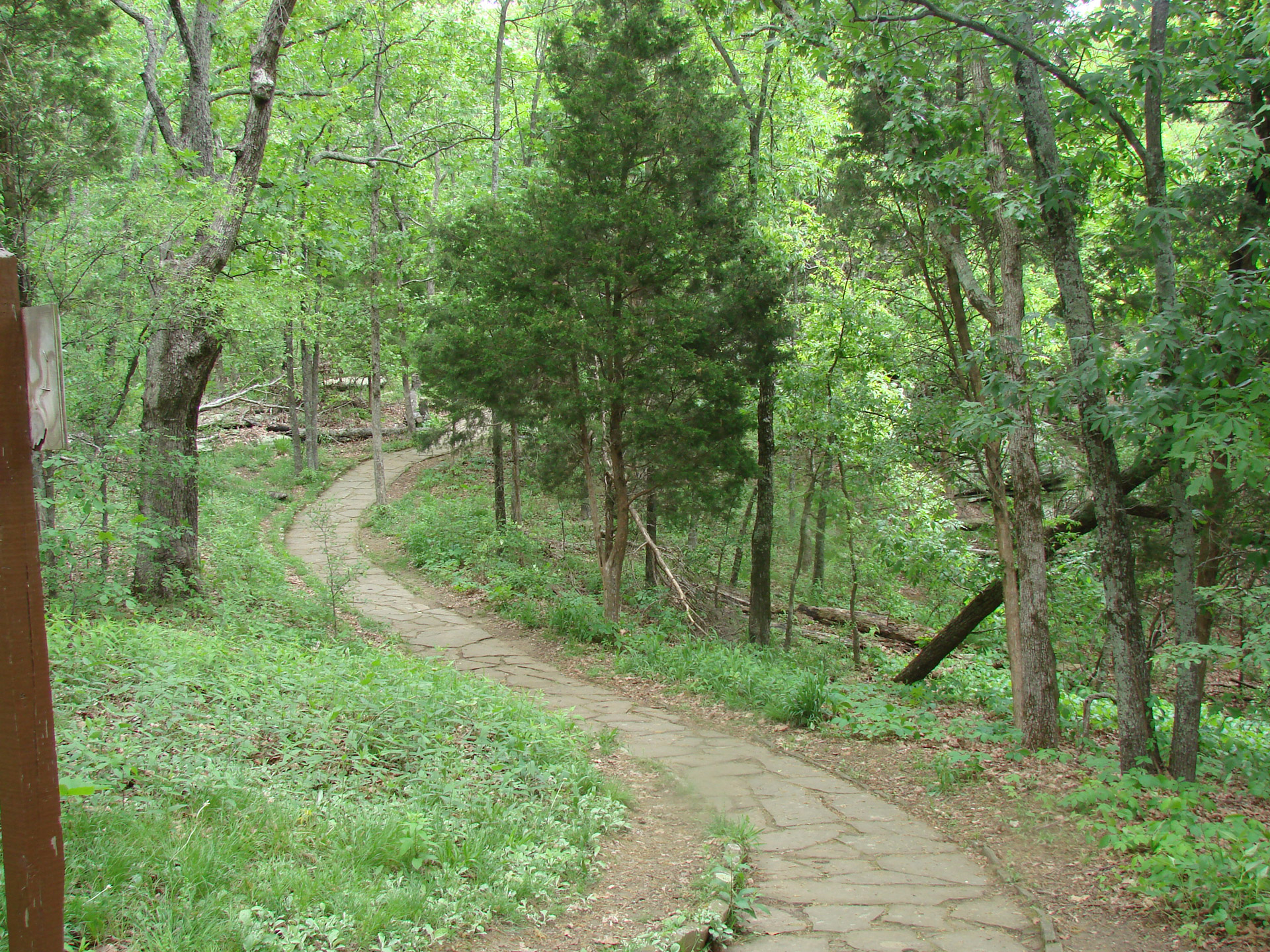 path stone woods free photo