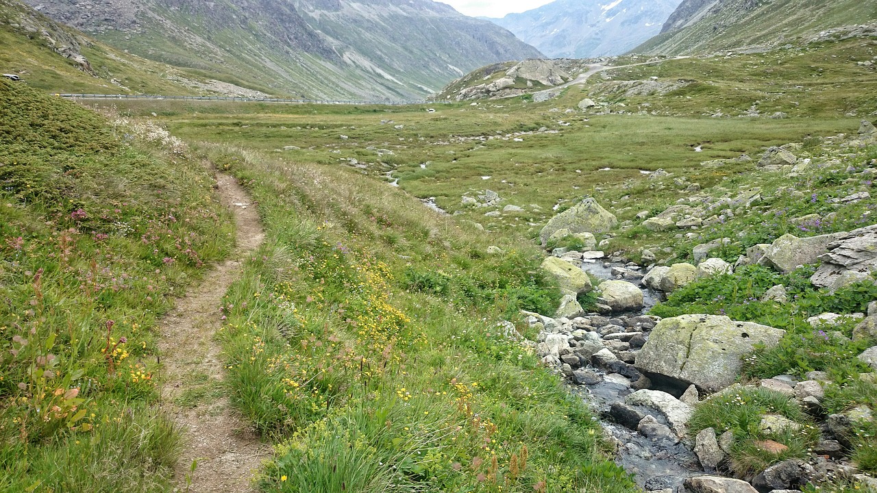 the path relax mountain stream free photo