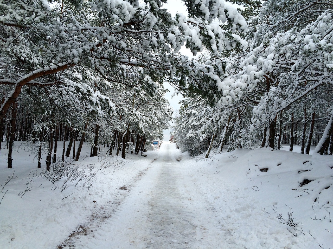 the path winter snow free photo