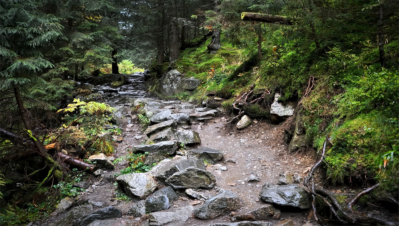 the path  tatry  mountains free photo