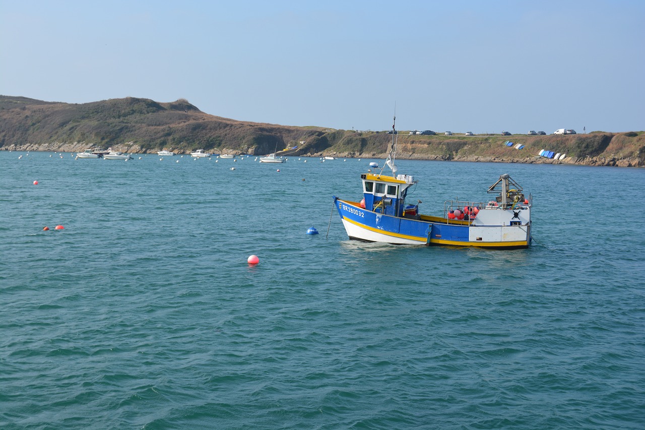 the peach the conquet the sea free photo