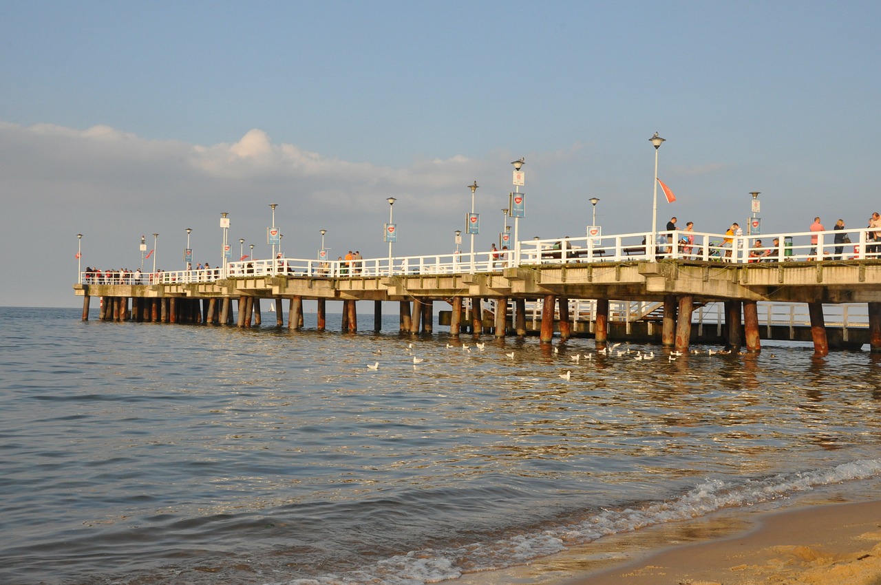 the pier sea beach free photo