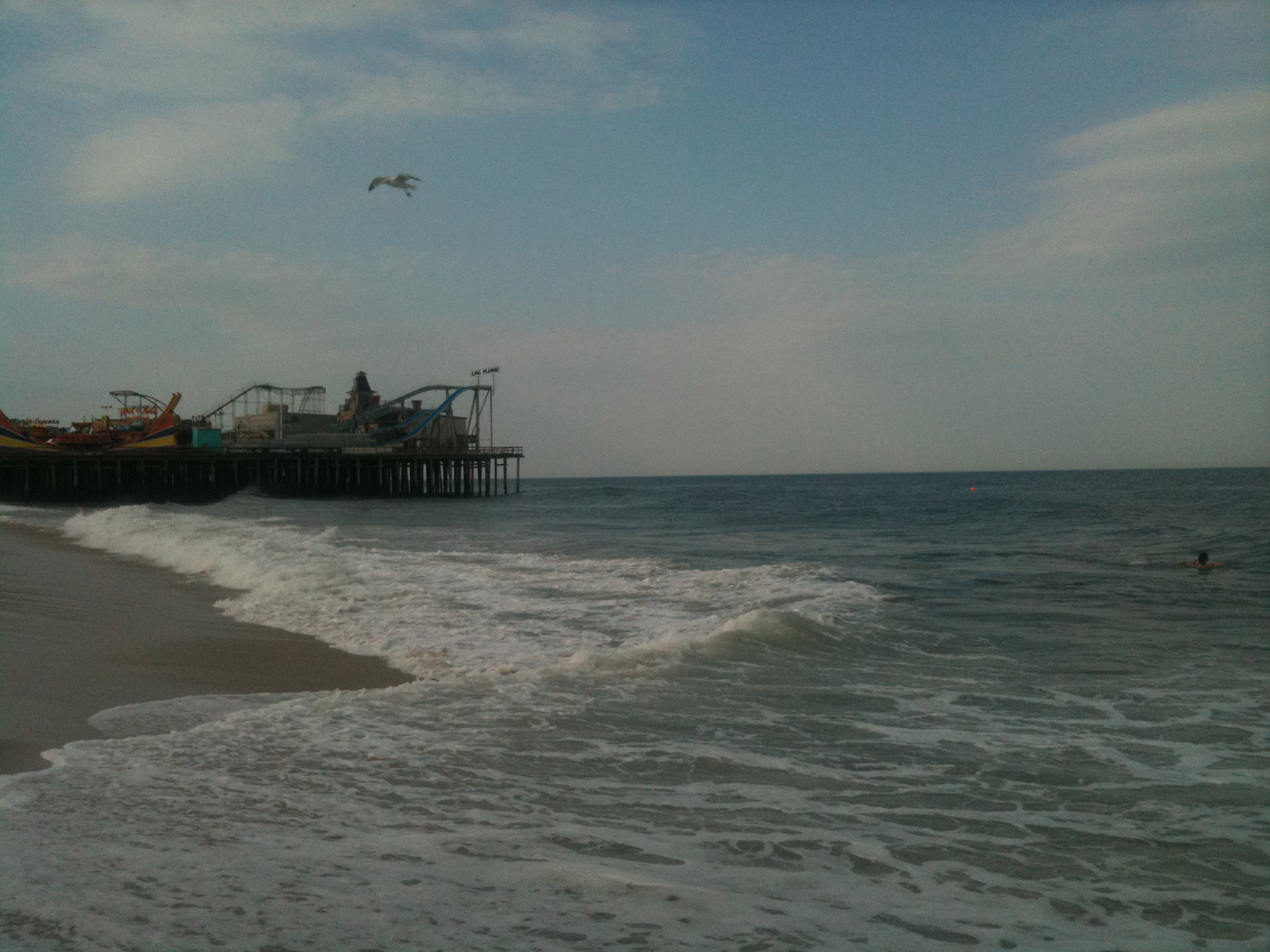 beach pier rides free photo