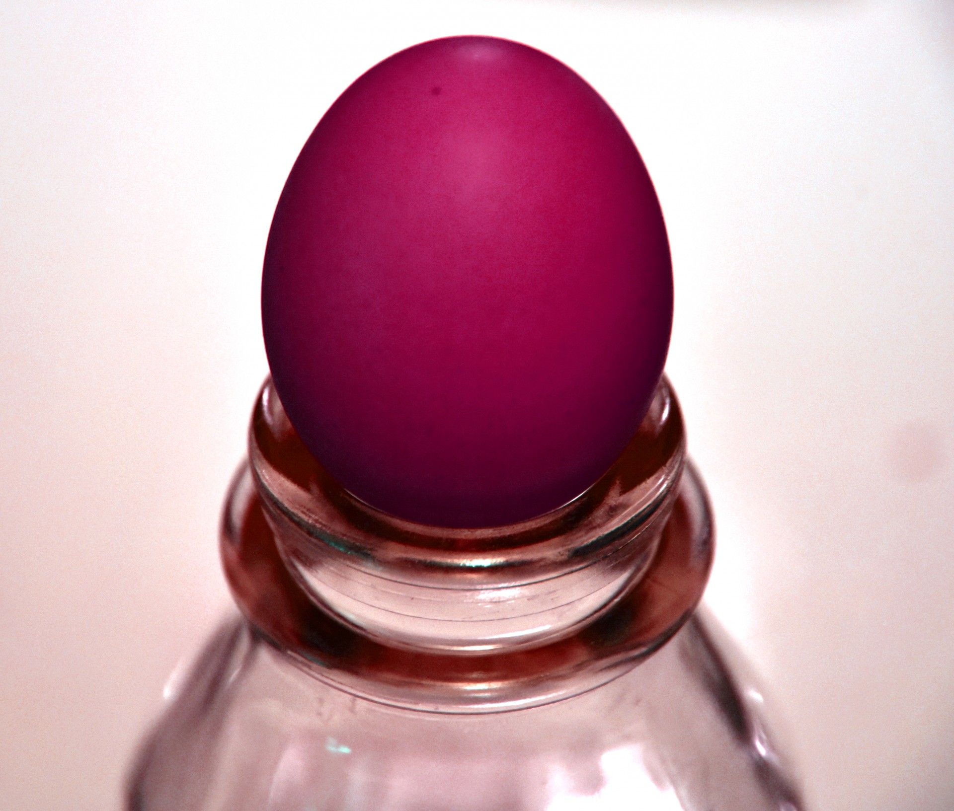 magenta egg pink free photo