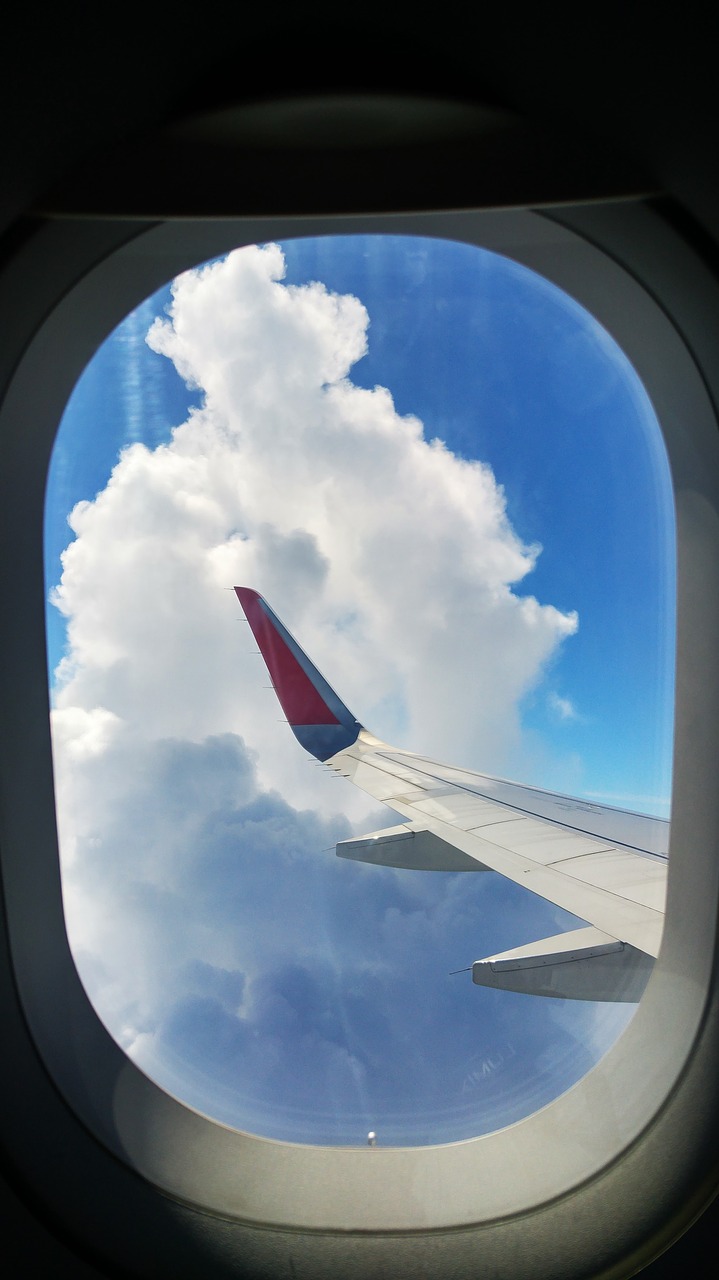 the plane window flight free photo