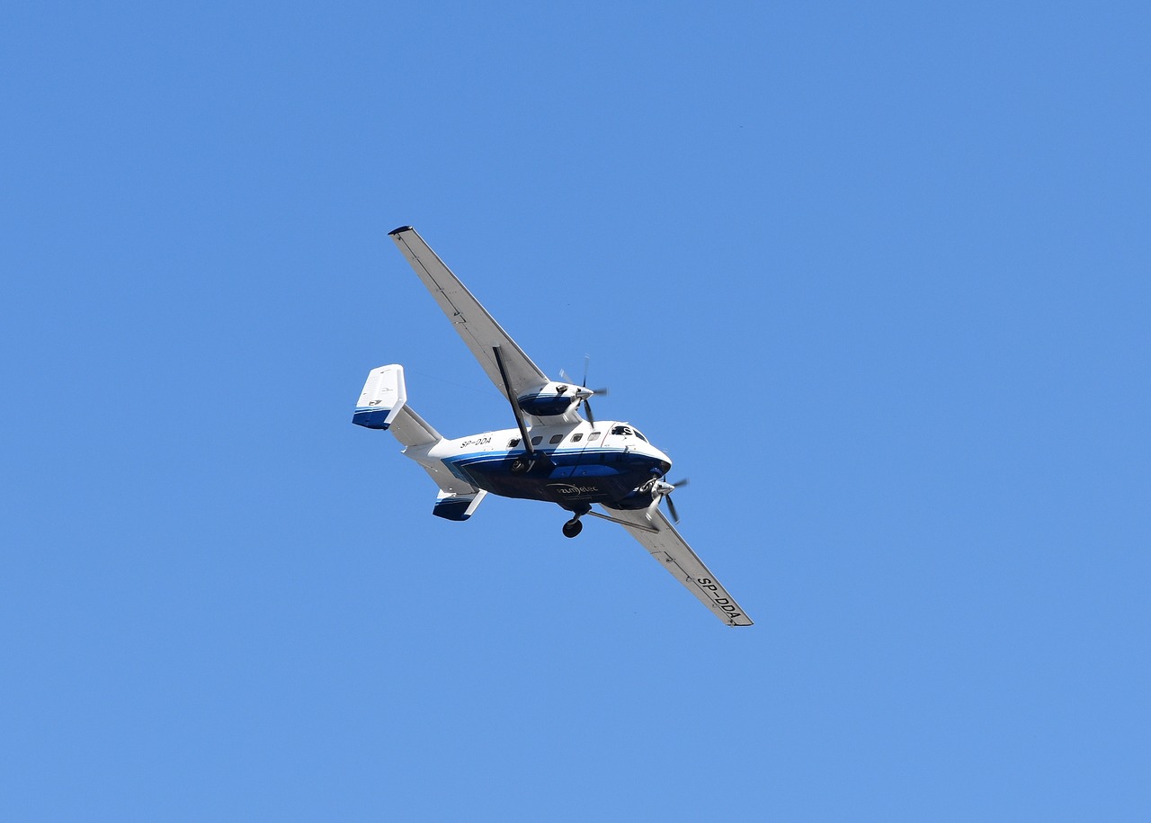 the plane air show aviation museum free photo