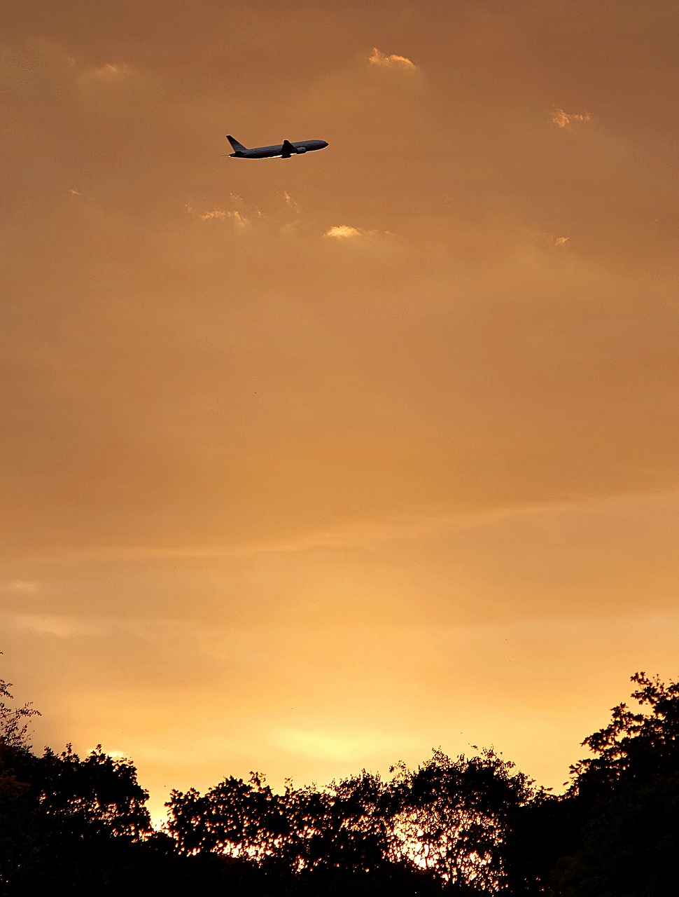 the plane takes off sunset free photo